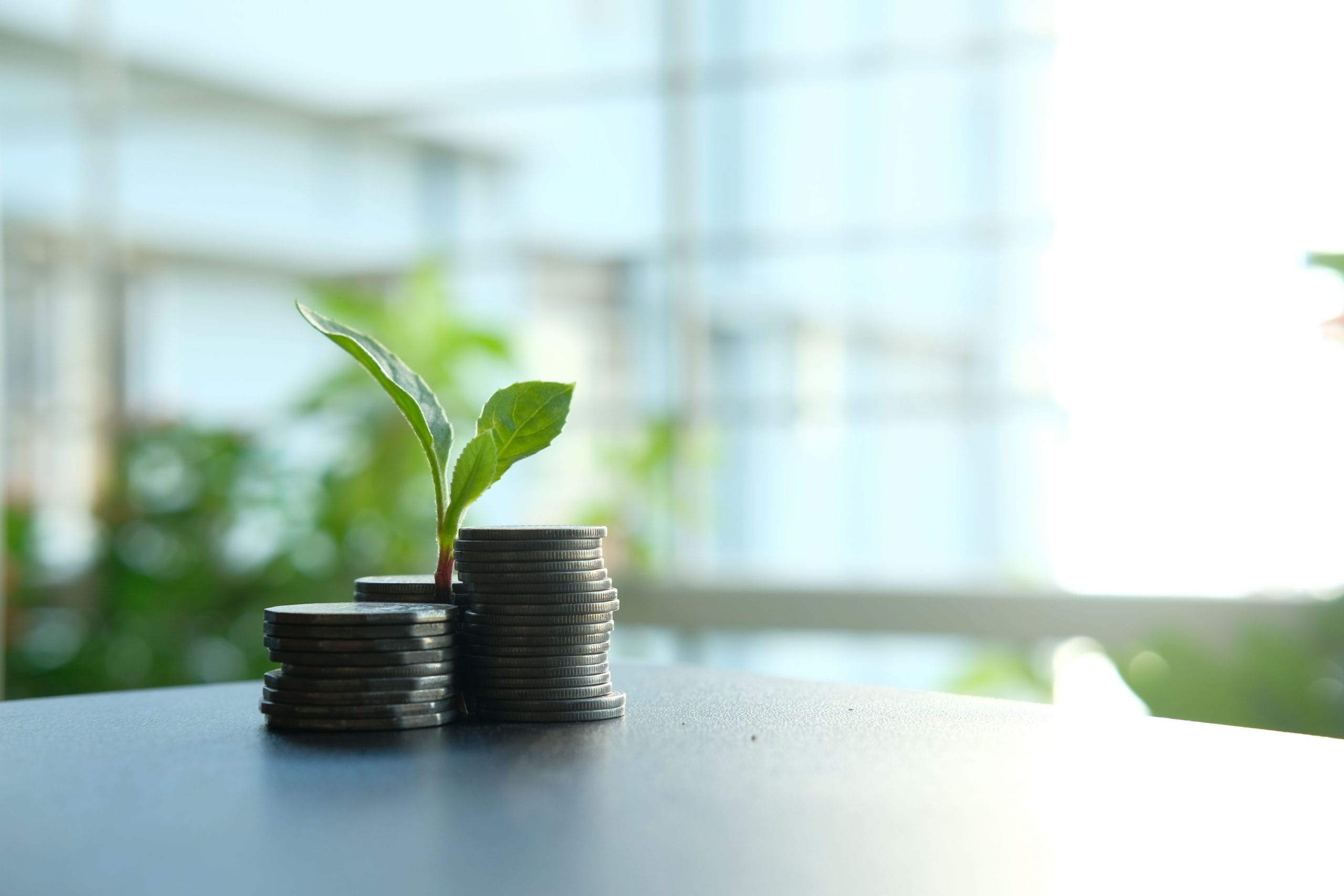 cabinet de conseil en investissement
